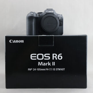 Canon R6 mark II #xx406 低快門