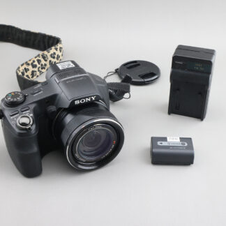SONY  DSC-HX200V 等效 27-810mm  一處霉